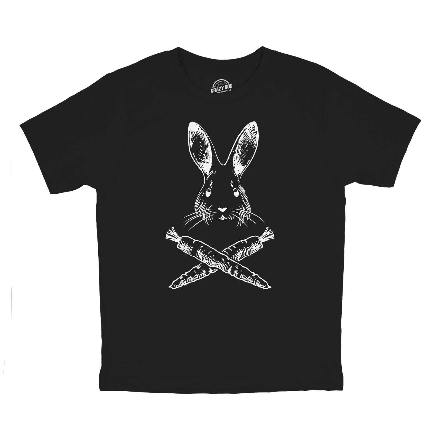 the-most-stylish-and-affordable-youth-jolly-roger-easter-t-shirt-funny-pirate-bunny-flag-egg-hunt-tee-for-kids-online-sale_1.jpg