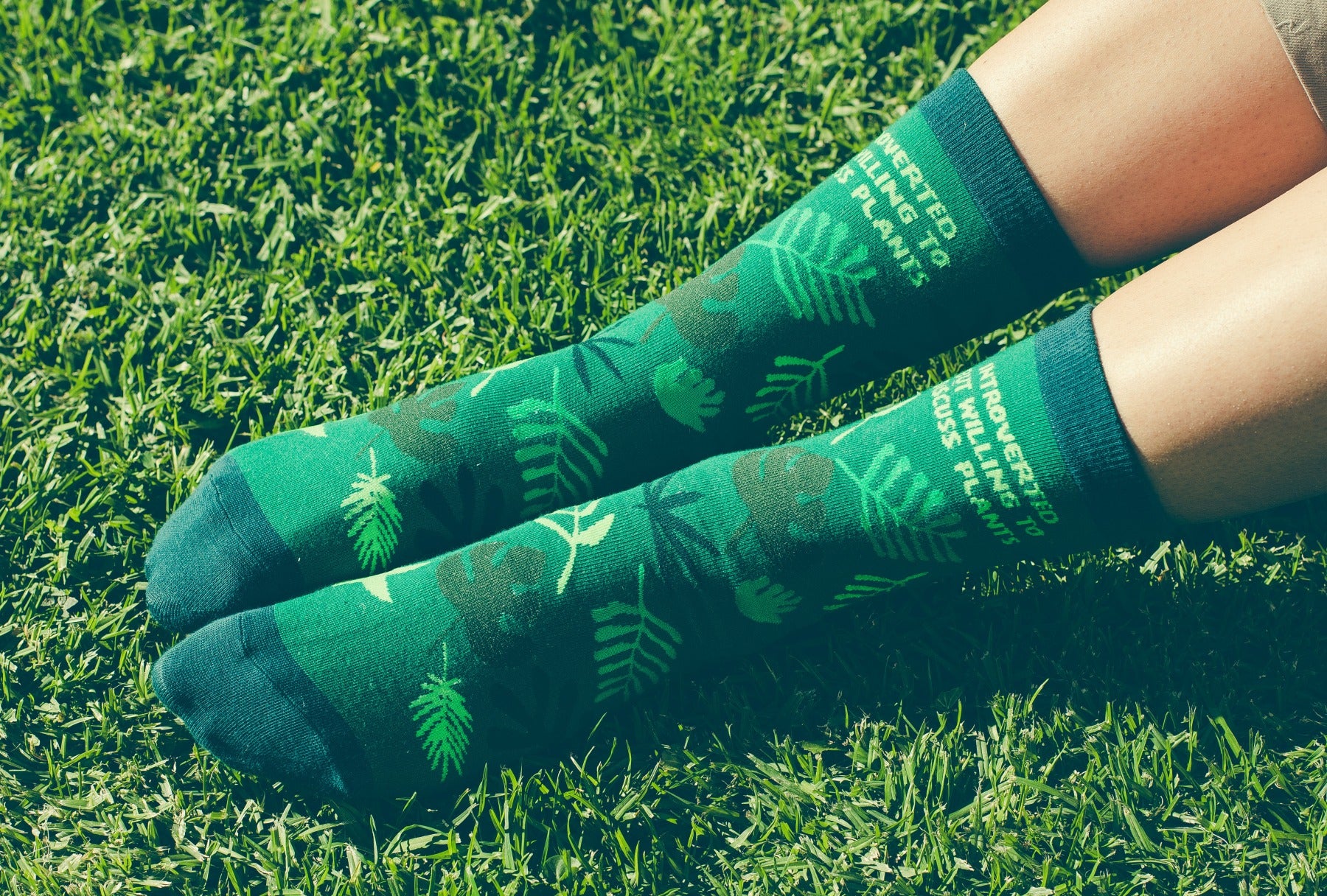 buy-cheap-wholesale-womens-introverted-but-willing-to-discuss-plants-socks-funny-gardening-house-plant-graphic-footwear-for-sale_4.jpg