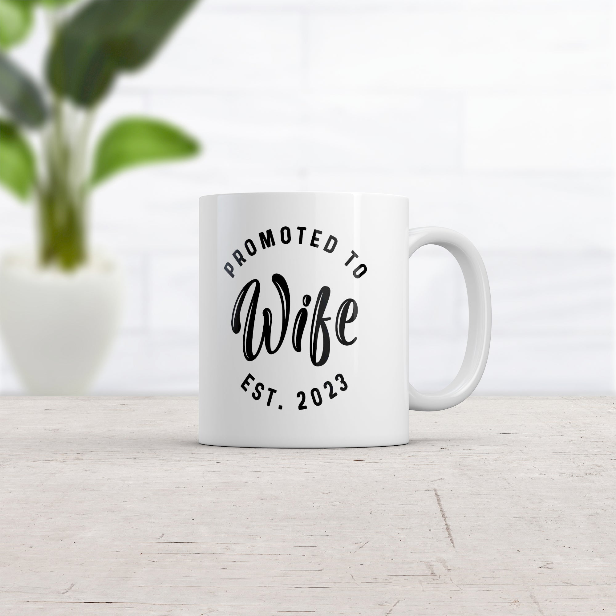 the-official-store-of-promoted-to-wife-2023-mug-funny-family-wedding-announcement-coffee-cup-11oz-fashion_1.jpg